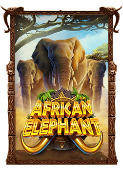 pg365 slot เทคนิคการเล่นและโบนัสที่คุณควรรู้